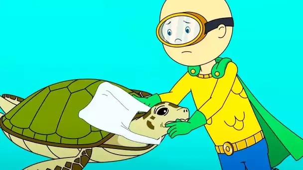 Caillou Sauve les Tortues | Caillou en Français