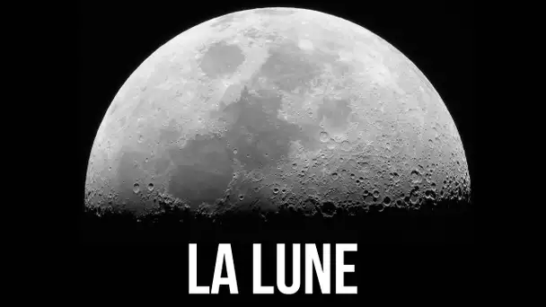 TOUT SUR LA LUNE