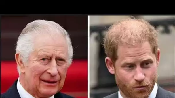 Le prince Harry "a torpillé tous les ponts restants" avec King après une plainte en justice