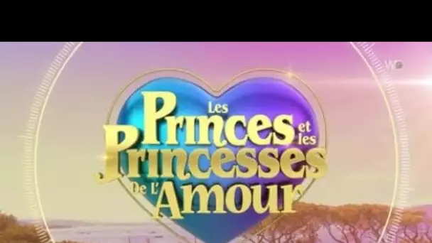 PHOTO Les princes et princesses de l'amour : un candidat spoile le programme, les...