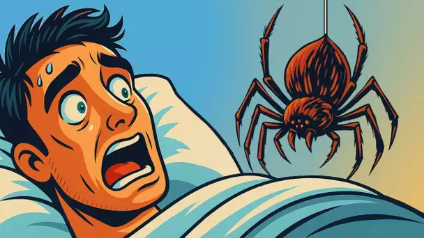 Vous avez menti à propos de cette araignée toute votre vie