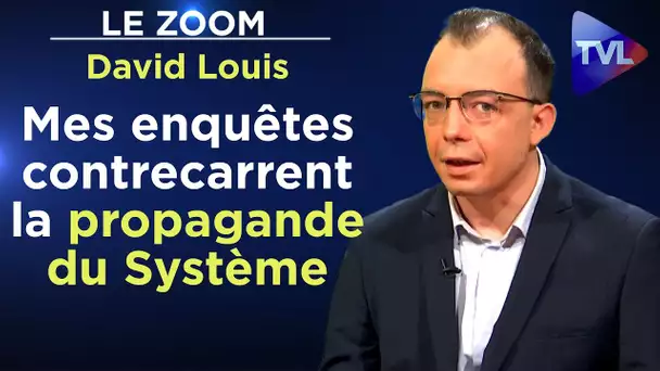 Mes enquêtes contrecarrent la propagande du Système - Le Zoom - David Louis - TVL