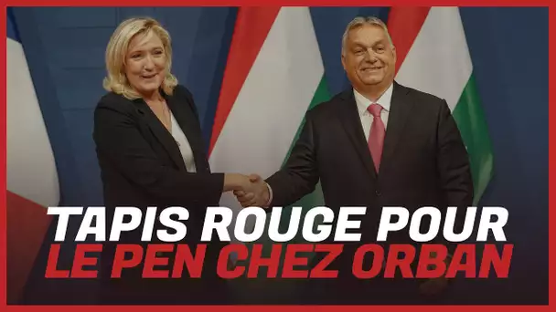 Orban « plus proche de Zemmour » que de Marine Le Pen