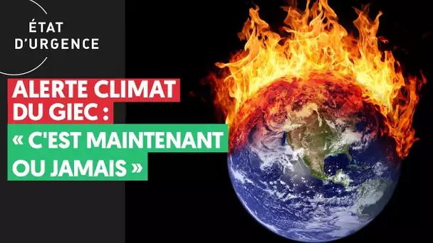 ALERTE CLIMAT DU GIEC : "C'EST MAINTENANT OU JAMAIS"