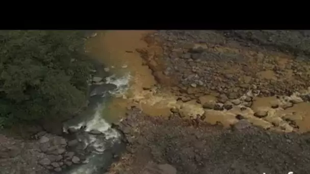 Costa Rica : rivière dans la forêt dense primaire