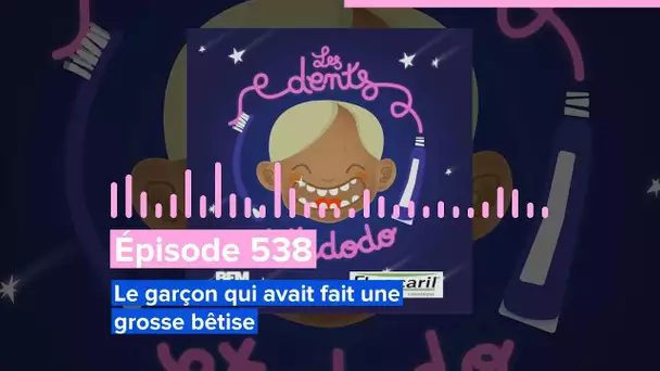 Épisode 538 : Le garçon qui avait fait une grosse bêtise