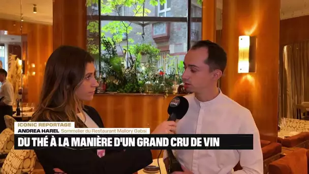 L'Iconic Reportage : Grands Jardins, Du Thé à la manière du vin 08/12/23