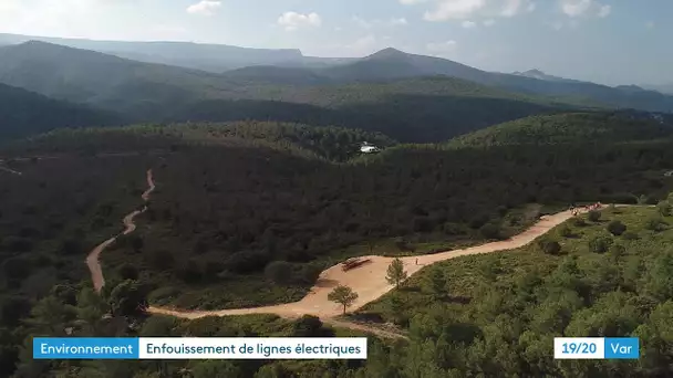 Parc naturel de la Sainte-Baume: enfouissement de lignes électriques pour protéger l'écosystème