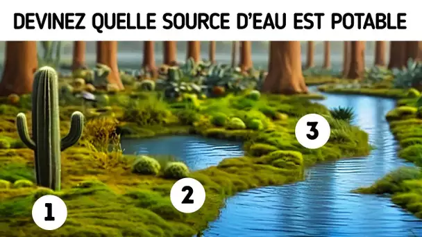 Combien de Temps Survivriez-Vous ? Test de Survie en Pleine Nature