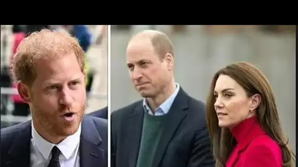 Le prince William et Kate sont « irrités » par le projet du prince Harry pour l'anniversaire