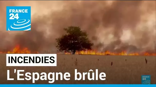 Incendies en Europe : l'Espagne se bat contre les flammes et la canicule • FRANCE 24
