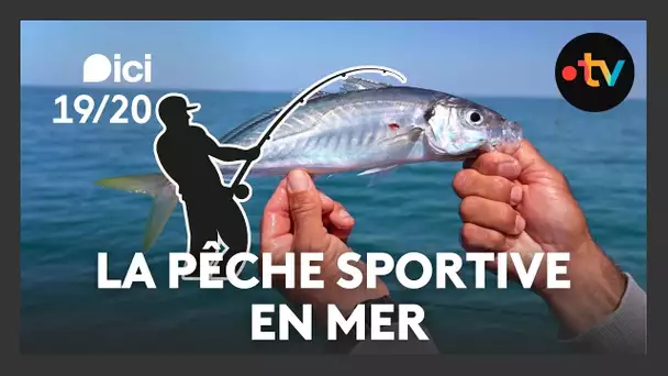 Pêche sportive en mer : bars, maquereaux & carangues au large des Sables-d'Olonne