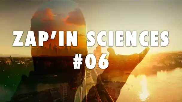 Zap'In Sciences #06 - L'Esprit Sorcier