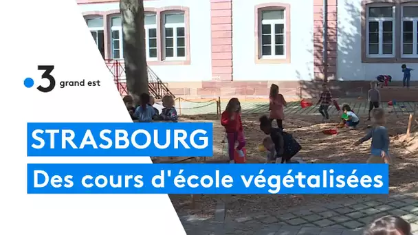 Strasbourg : une cour de récréation végétalisée pour les écoles maternelles
