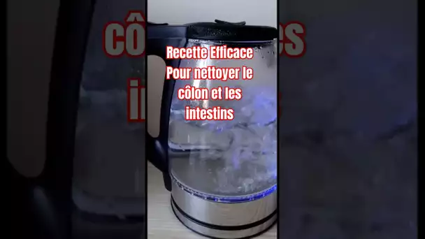 Recette efficace et naturelle pour nettoyer le côlon et les intestins