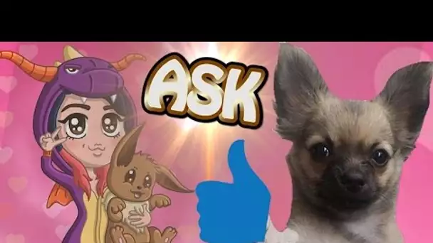 JE RÉPONDS à VOS QUESTIONS - #Ask Moshie et Chelxie - Vidéo IRL