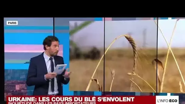 L'inquiétude des pays d'Afrique du Nord face à l'envolée des prix du blé • FRANCE 24