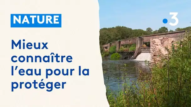 Sèvre nantaise : sensibiliser le grand public à l'eau