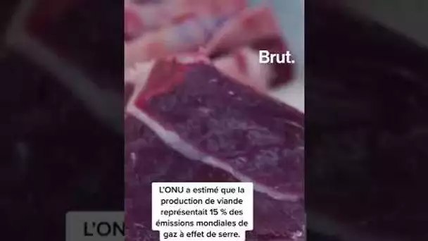 Une ville interdit les publicités pour la viande aux Pays-Bas