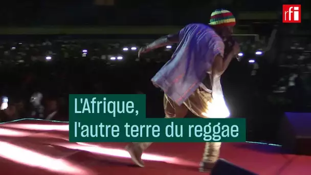 L'Afrique, l'autre terre du reggae - #CulturePrime