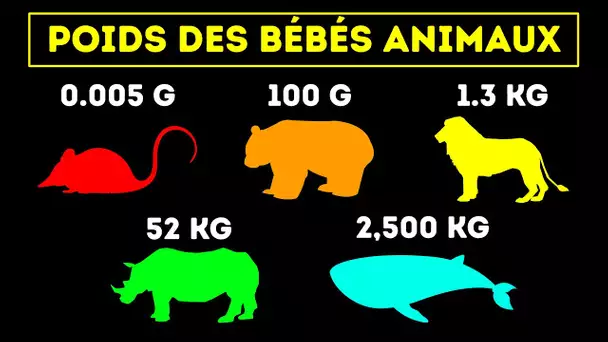 Quand les bébés animaux deviennent indépendants : Comparaison