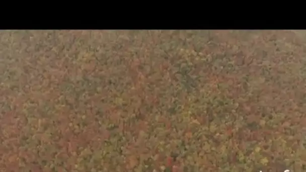 Etats-Unis : forêt et lac à Saranac Lake dans l'état de New York 2/2