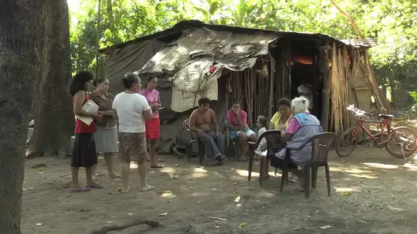 Nicaragua : mortelle canne à sucre