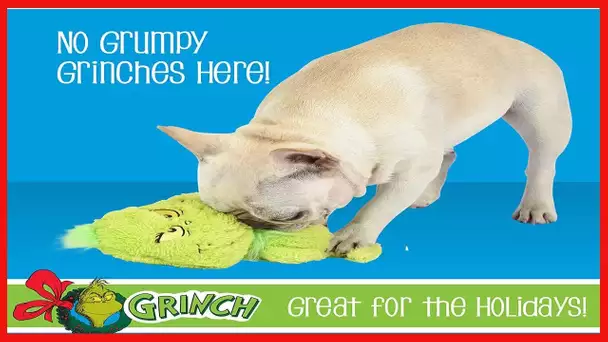 Dr. Seuss The Grinch Plush Dog Toy, Big Head | 9 inch Grinch Movie Plush Dog Toy | Soft and Cuddly