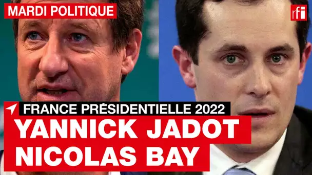Yannick Jadot et Nicolas Bay, invités de « Mardi politique » • RFI