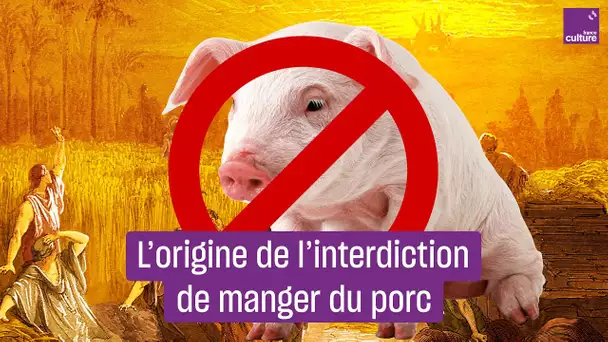 D'où vient l'interdiction de manger du cochon ?