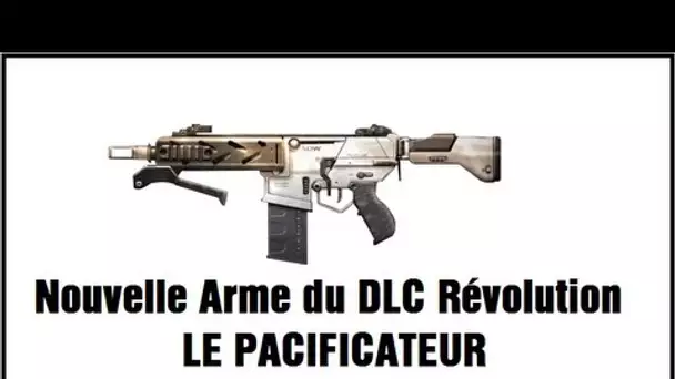 La nouvelle arme du DLC Révolution : le Pacificateur. Dual-commentary avec Marokino