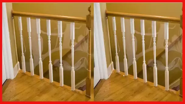 Cardinal Gates Banister Shield for Pets, 15' Roll Clear