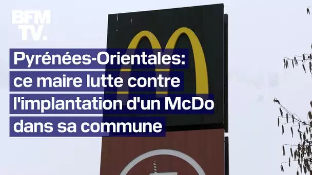 Le maire de Toulouges lutte contre l'implantation d'un McDonald's dans sa commune