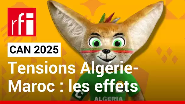 Tensions Algérie-Maroc : quelles conséquences sur l'attribution de la CAN 2025 ?  • RFI