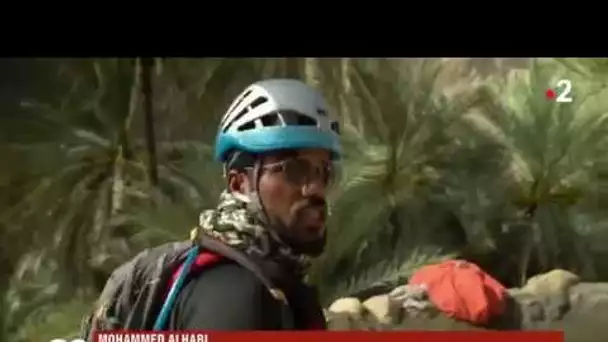 Randonnées dans les Wadis d'Oman : des spectaculaires paysages d'oasis dans le désert