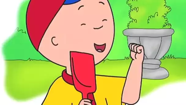 Le Succès de Caillou | Caillou en Français