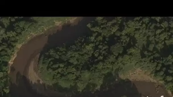 Kenya : relief montueux couvert de forêt