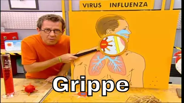 Pourquoi H5N1 est-il moins contagieux que le virus de la grippe classique ? - C'est Pas Sorcier