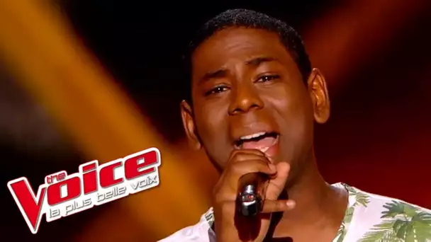 The Jackson Five – Who’s Lovin’ You | Fabien Cornelius | The Voice France 2015 | Blind Audition