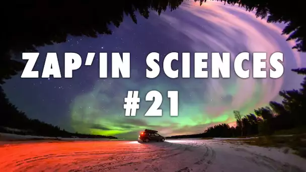 Zap'In Sciences #21 - L'Esprit Sorcier