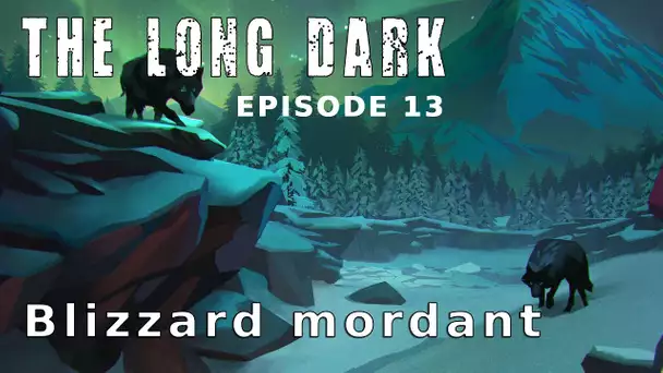 Let&#039;s play narratif - The Long Dark - Ep 13 Blizzard mordant