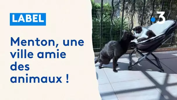 Menton, une ville amie des animaux !