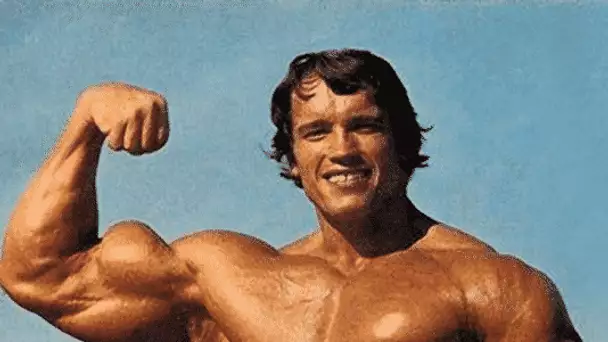 Arnoldi, une mouche super musclée portant le nom d’Arnold Schwarzenegger !