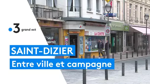 Saint-Dizier, une ville moyenne face à l'enjeu du "droit à la ville" pour les ruraux