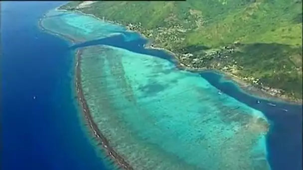 Polynésie française : Barrière de corail