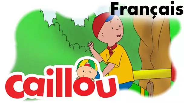 Caillou FRANÇAIS - Caillou à chameau (S05E22) | conte pour enfant | Caillou en Français