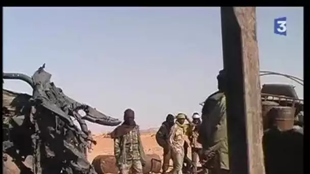 [Rebellion des Touaregs au Niger]