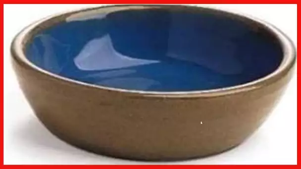 Ethical 5-Inch Cat Or Reptile Stoneware Dish