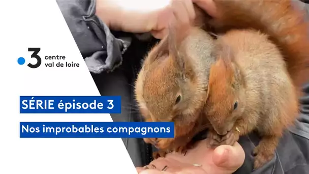 Nos improbables animaux de compagnie : dresseurs animaliers pour le monde de l'audiovisuel