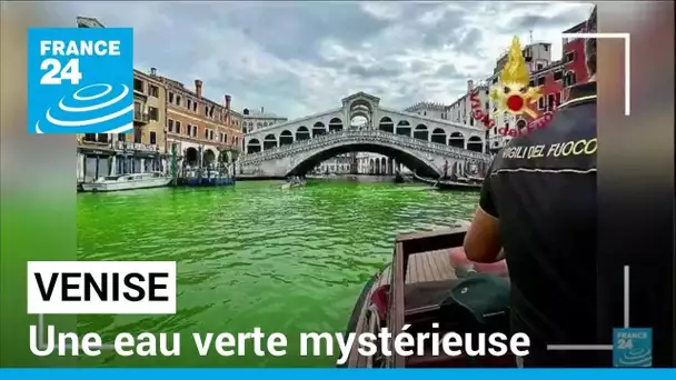 Eau verte dans le Grand canal de Venise : mystère sur l'origine de la coloration • FRANCE 24